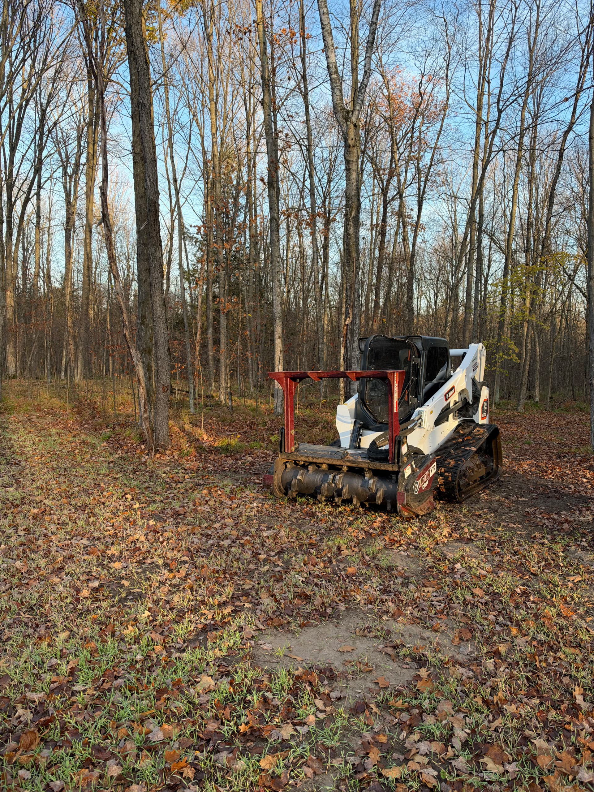 Gallery photos for Food Plot Cleared With Forestry Mulching in Mosinee: Image #3