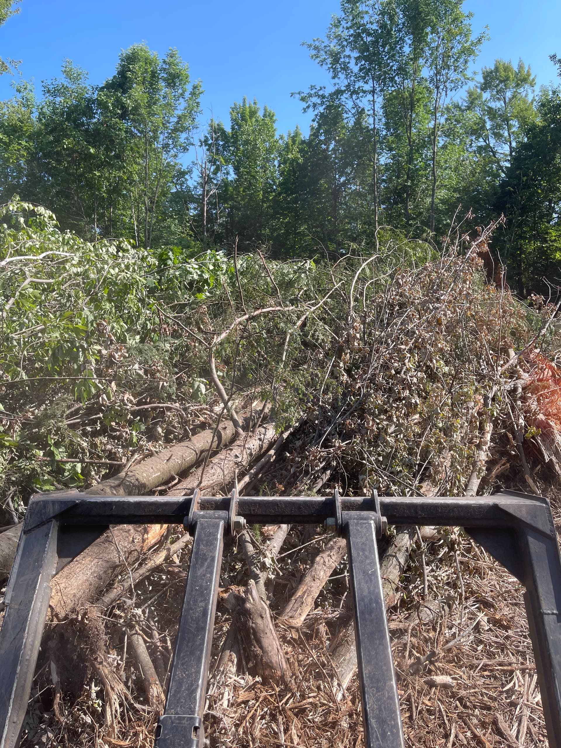 Gallery photos for Brush Piles Gone - Forestry Mulching in Kronenwetter: Image #2