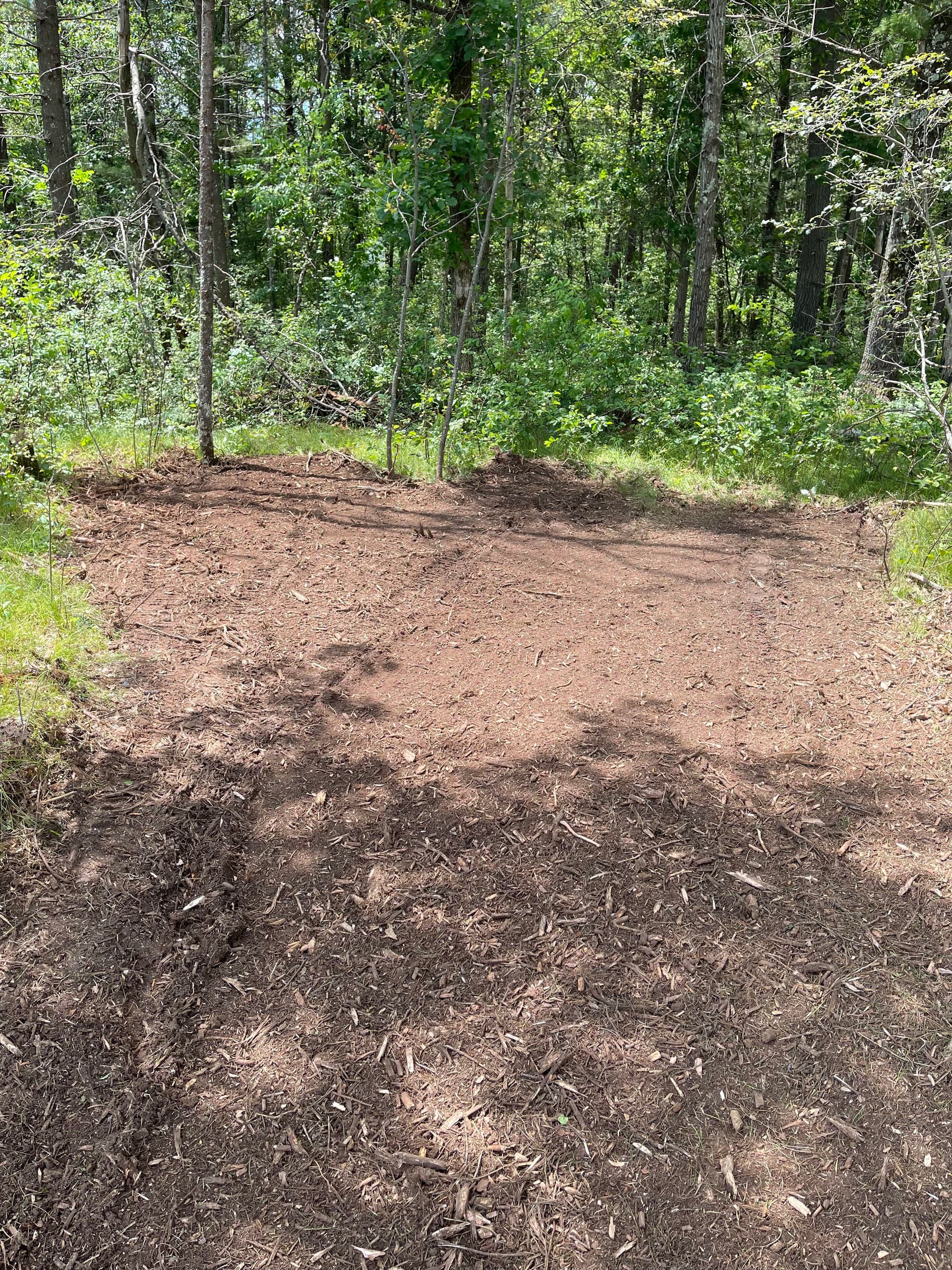 Gallery photos for Forestry Mulching Cleans Up Overgrown Property in Kronenwetter: Image #4