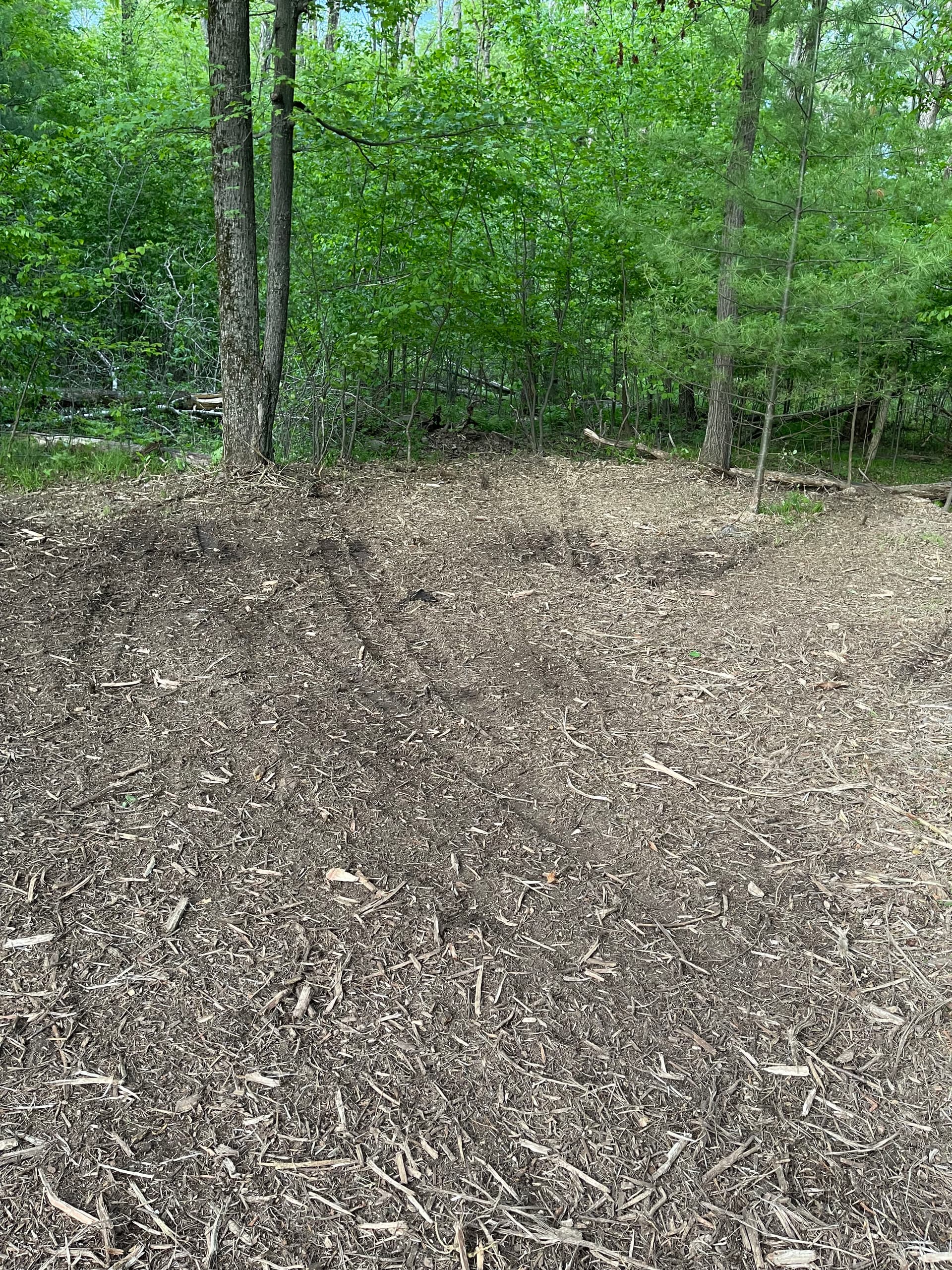 Gallery photos for Backyard Brush Cleared with Forestry Mulching in Stevens Point: Image #4