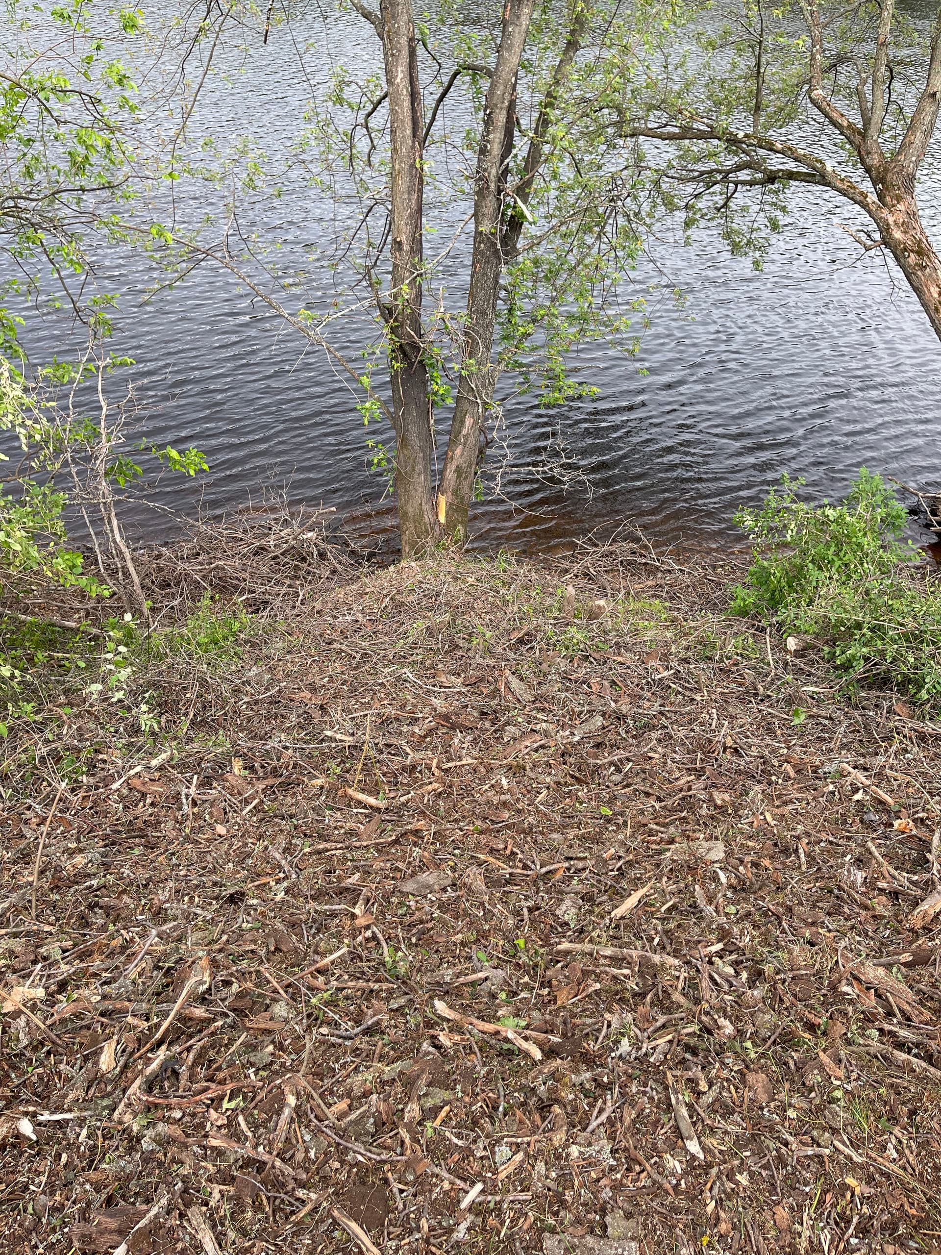Gallery photos for Wisconsin River Shoreline Cleanup in Mosinee: Image #3