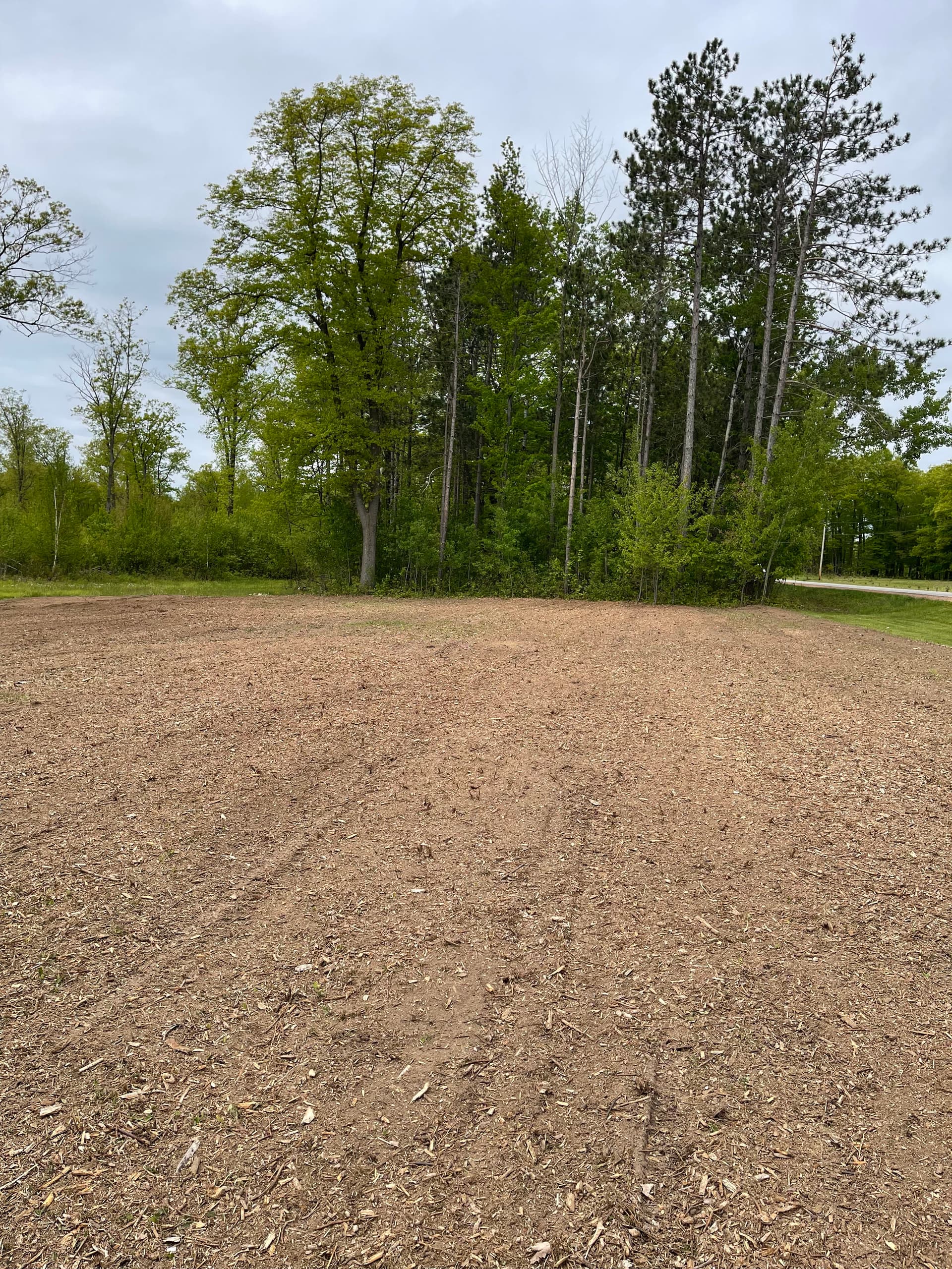 Forestry Mulching Clears Overgrown Lot in Mosinee image