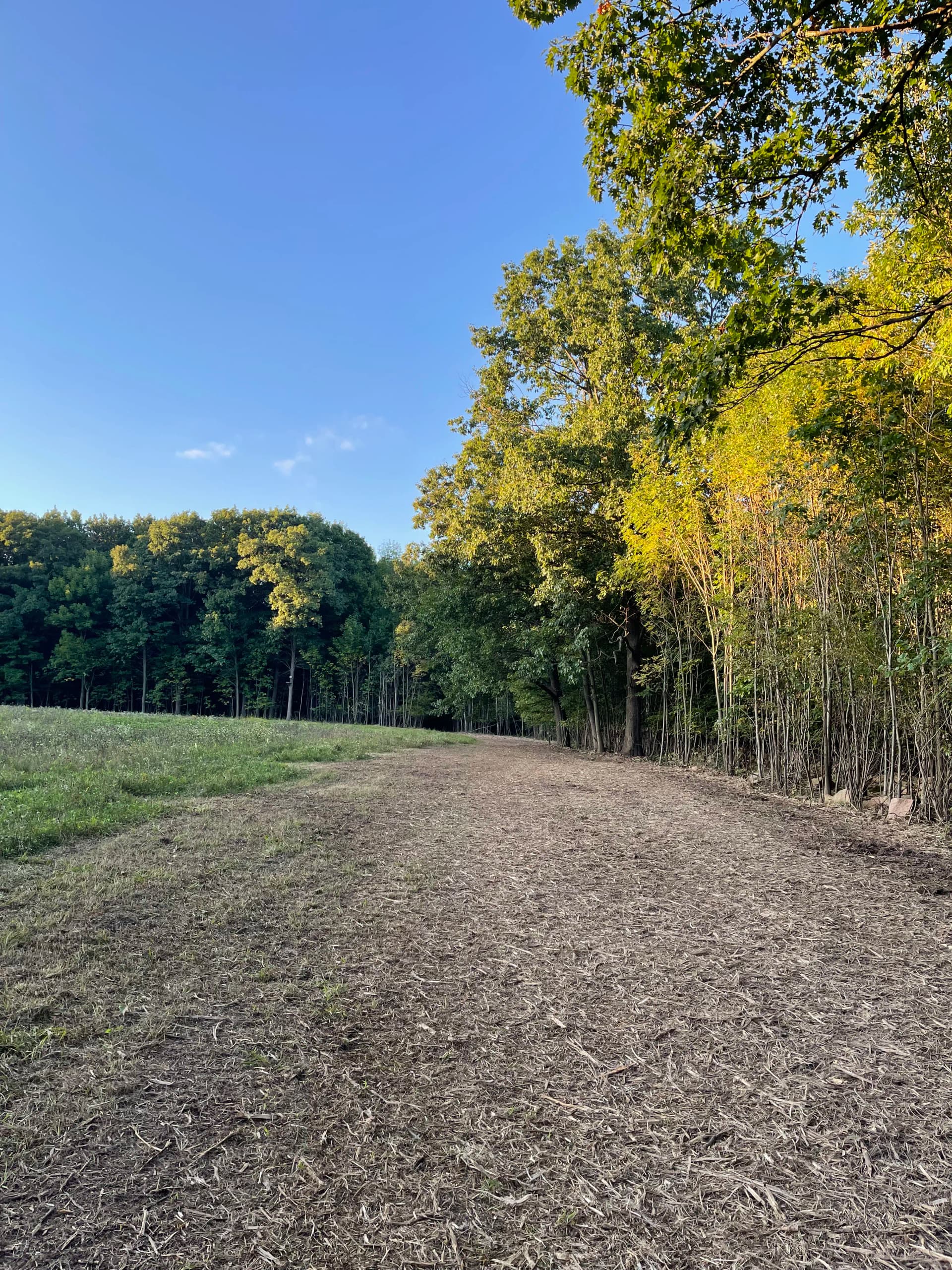 Field Expansion with Forestry Mulching in Kronenwetter image