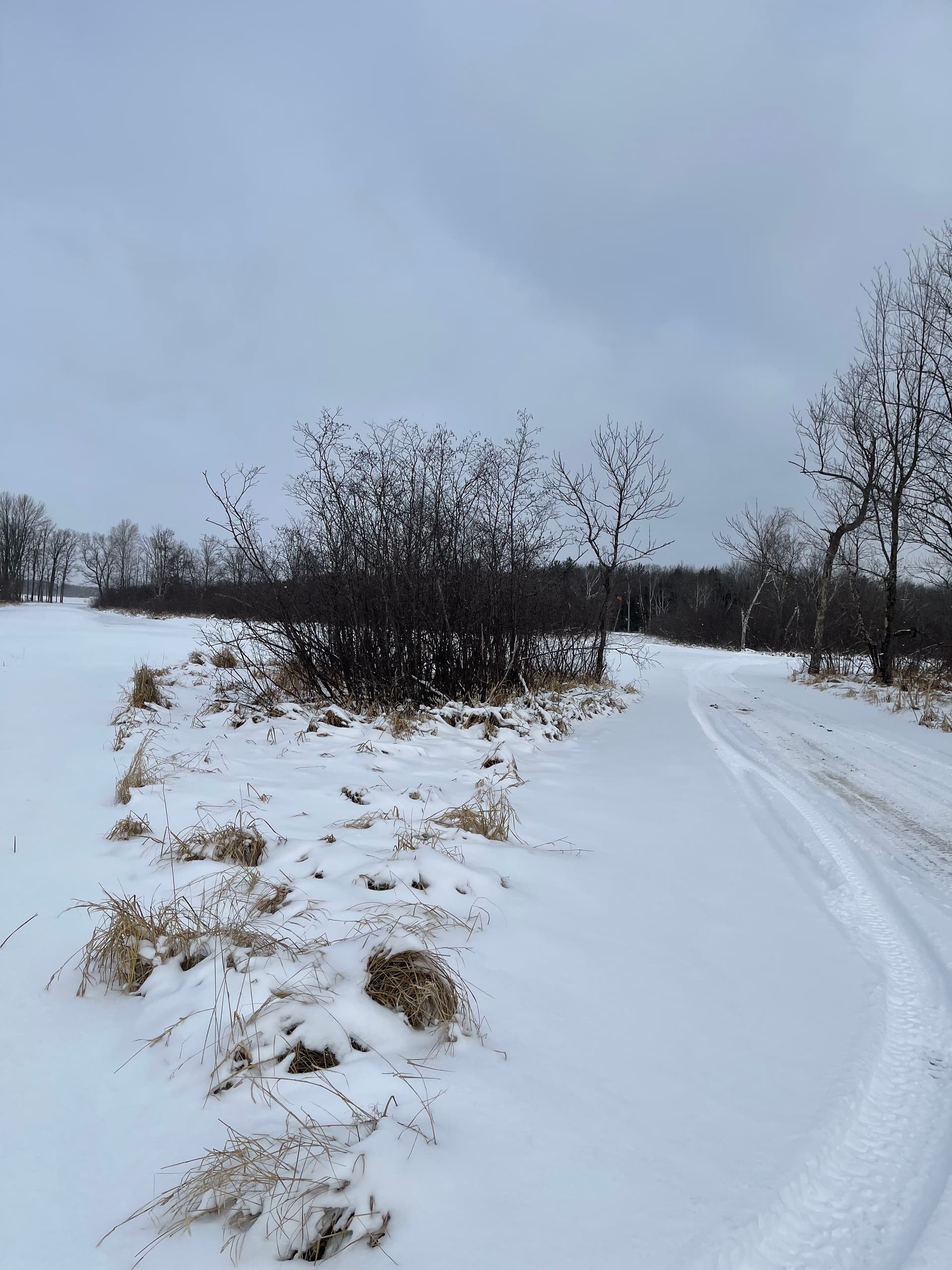 Gallery photos for Clearing Paths Near Little Frog Lake: Image #4