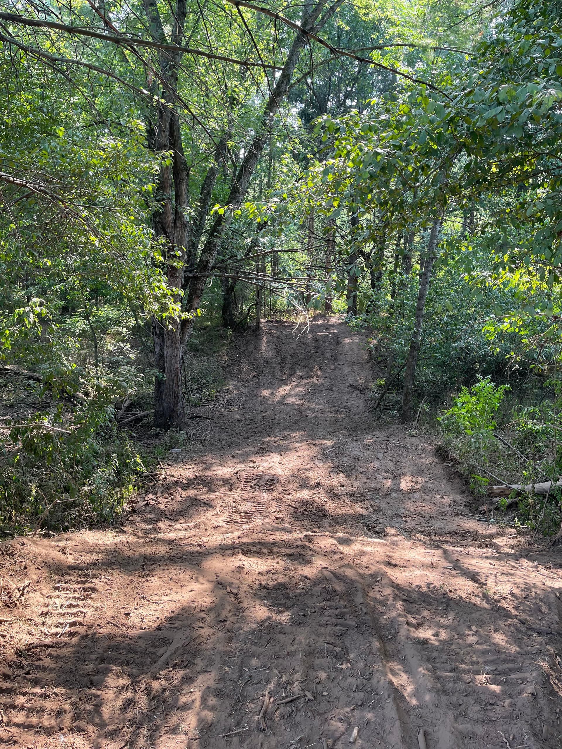 Gallery photos for Forestry Mulching Opens Up River Access in Weston WI: Image #3