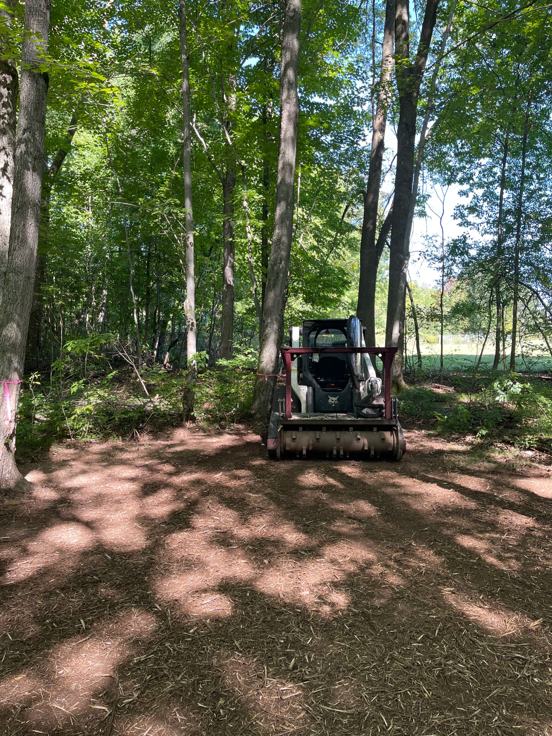 Gallery photos for Forestry Mulching Clears Usable Woodland Space at St. John Lutheran School in Wausau: Image #4