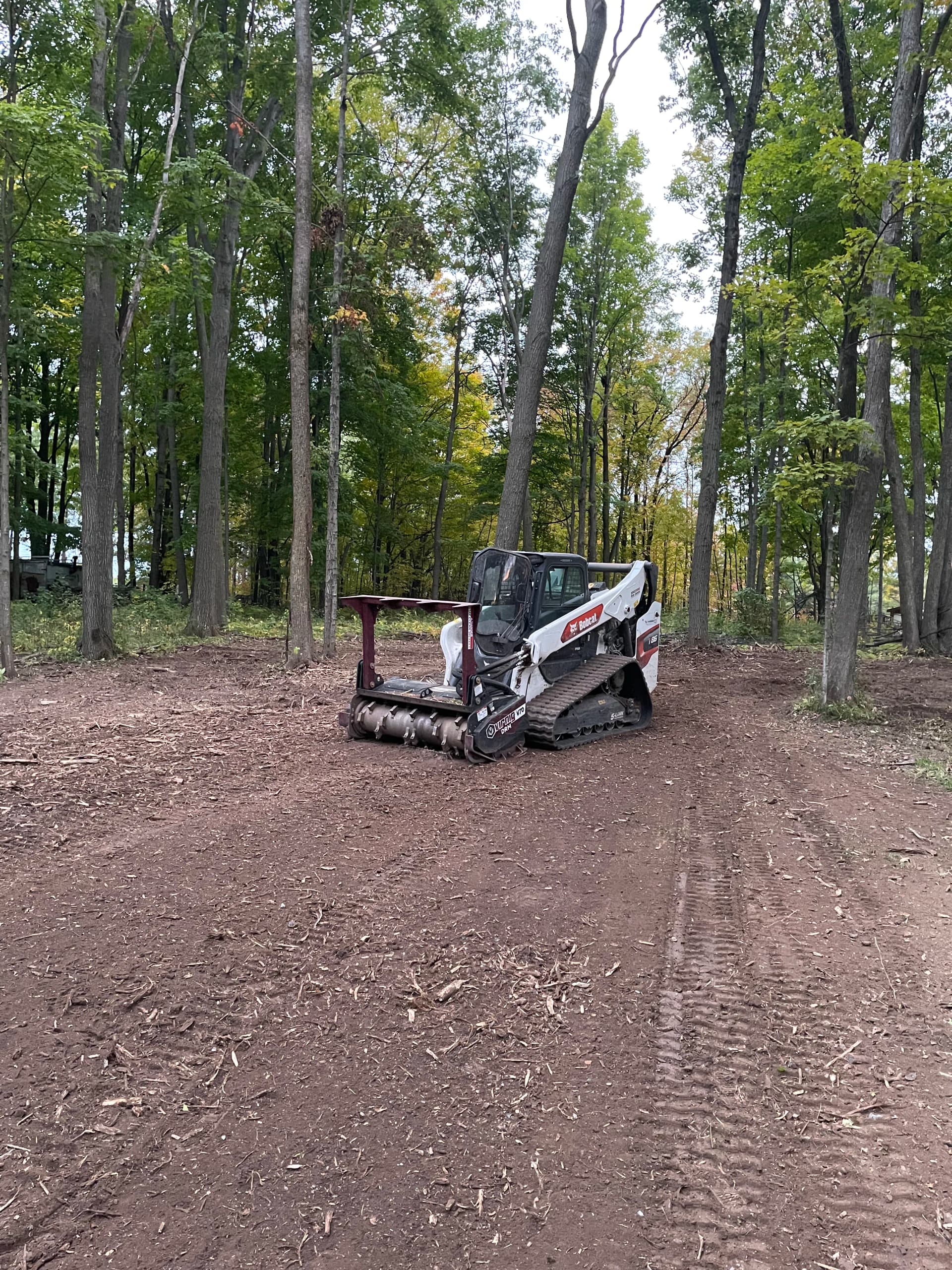 Gallery photos for Forestry Mulching Clears Thick Brush at Wausau Skeet & Trap Club: Image #1