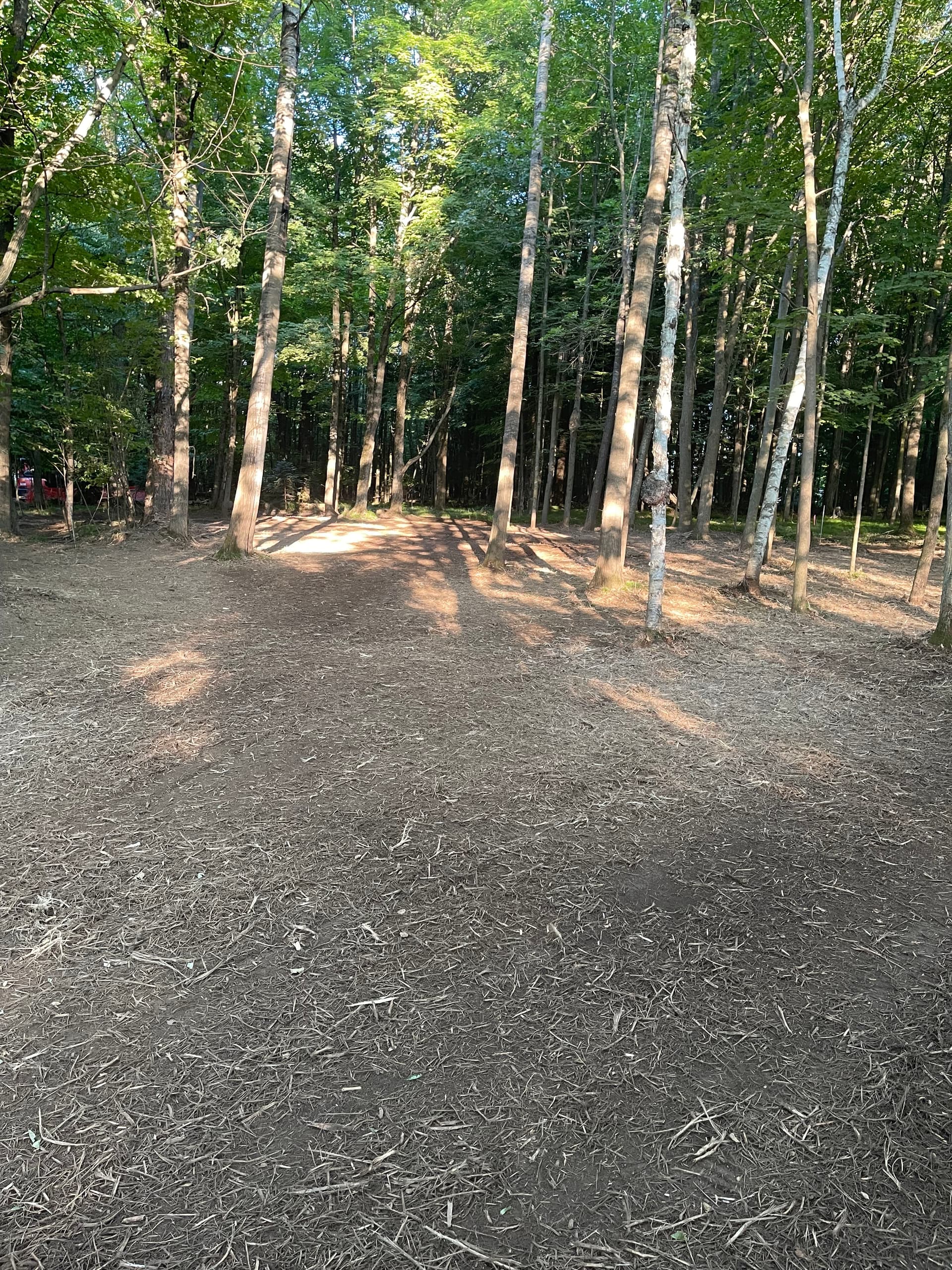 Gallery photos for Forestry Mulching Clears Overgrown Woodland Property in Mosinee: Image #5