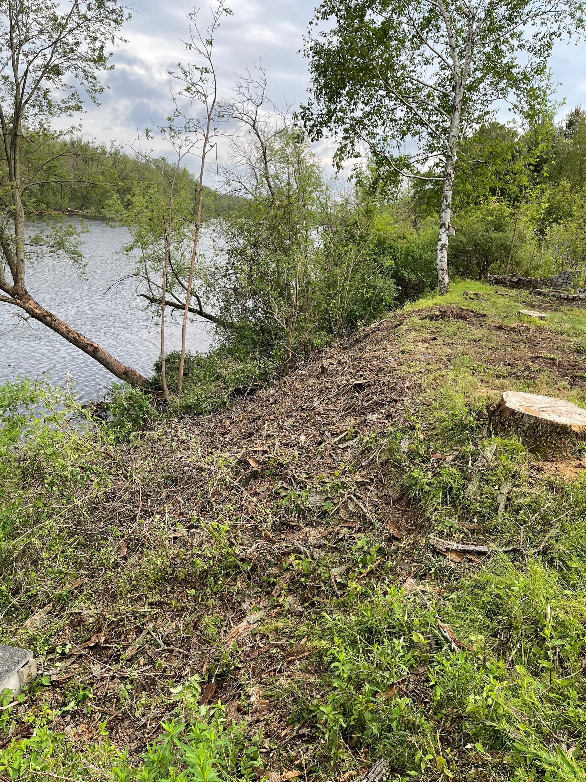 Gallery photos for Wisconsin River Shoreline Cleanup in Mosinee: Image #2
