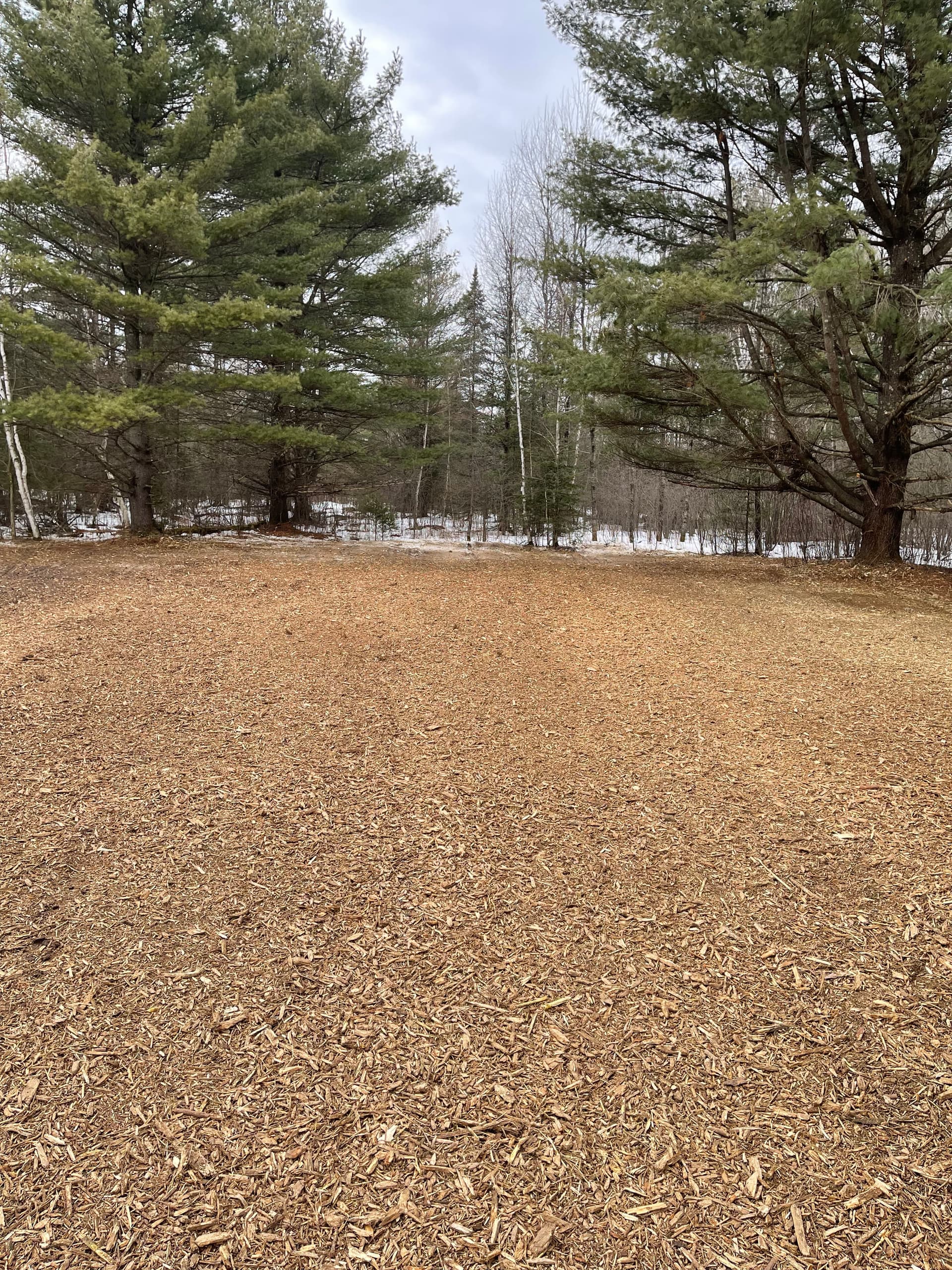 Gallery photos for Food Plot Forestry Mulching Done Right in Wausau: Image #4