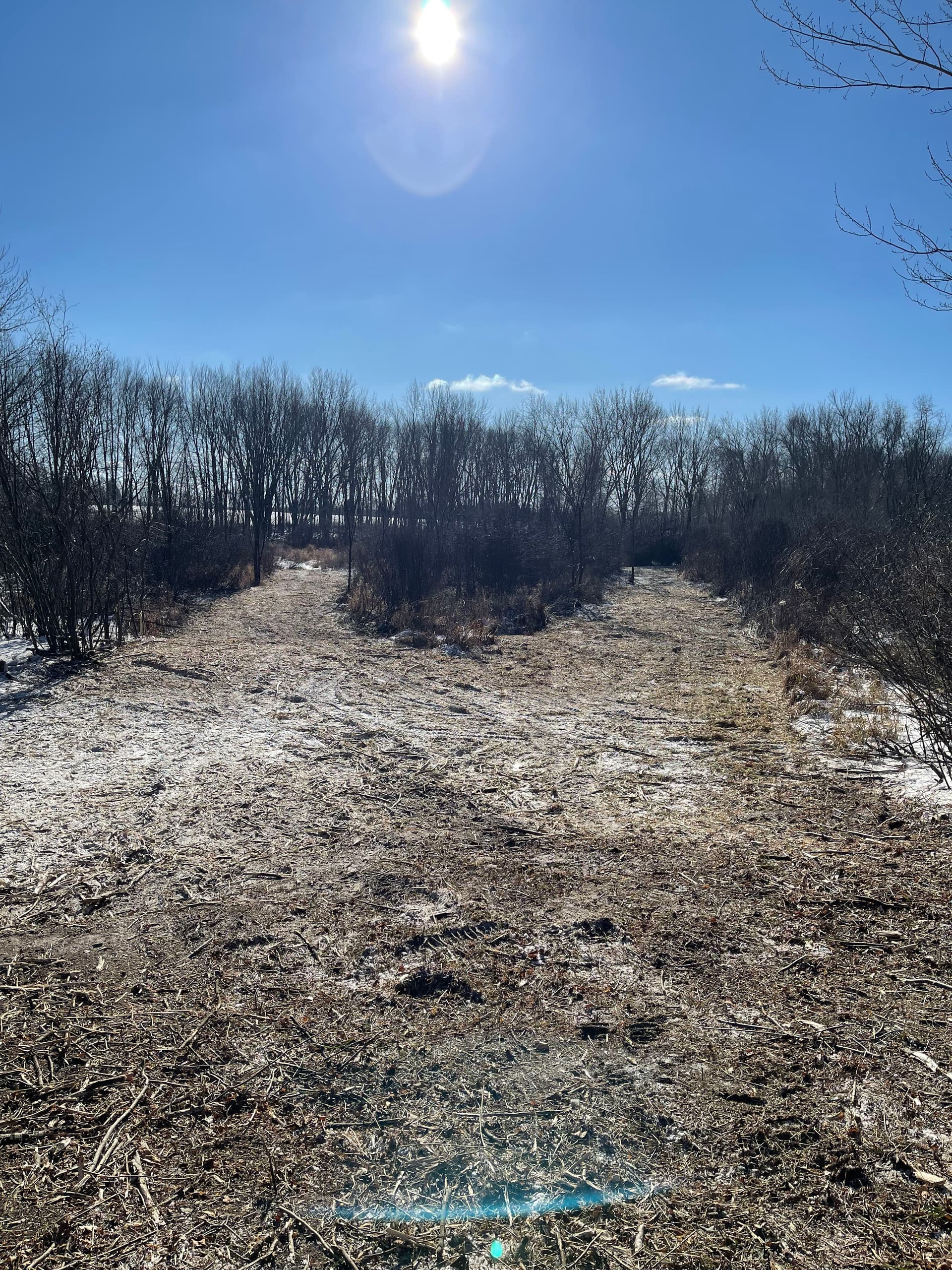 Gallery photos for Forestry Mulching in Bevent: Efficient Land Clearing in Winter Conditions: Image #3