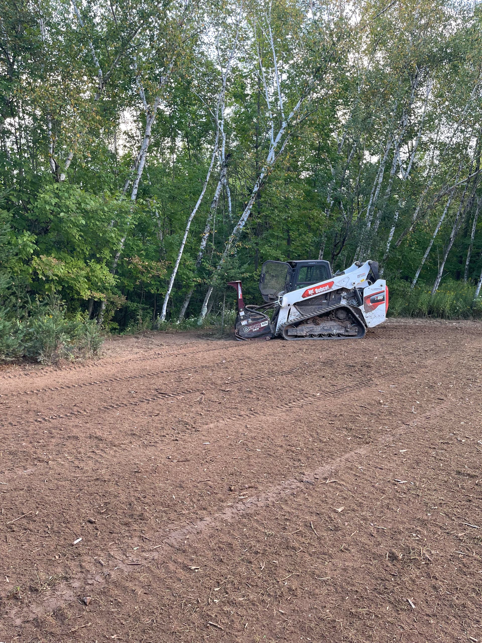 Hunting Property Cleanup with Forestry Mulching in Bevent image