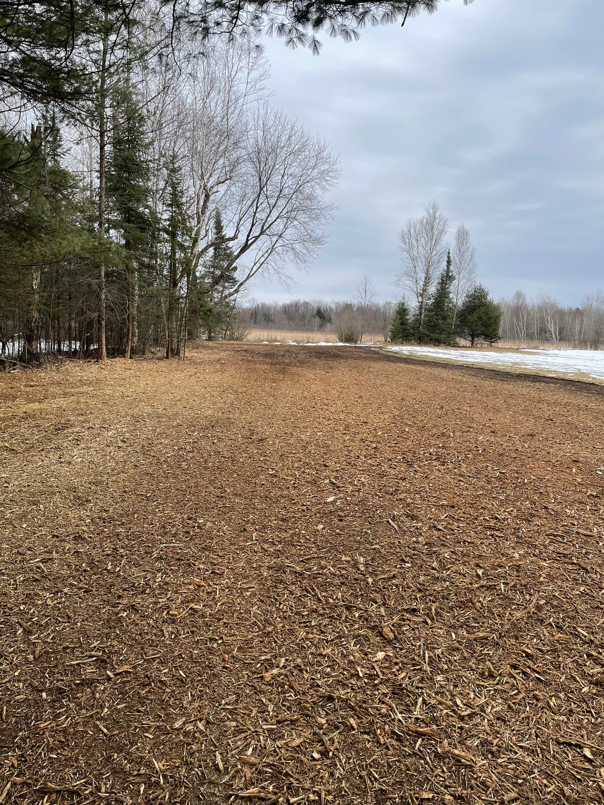 Gallery photos for Food Plot Forestry Mulching Done Right in Wausau: Image #1