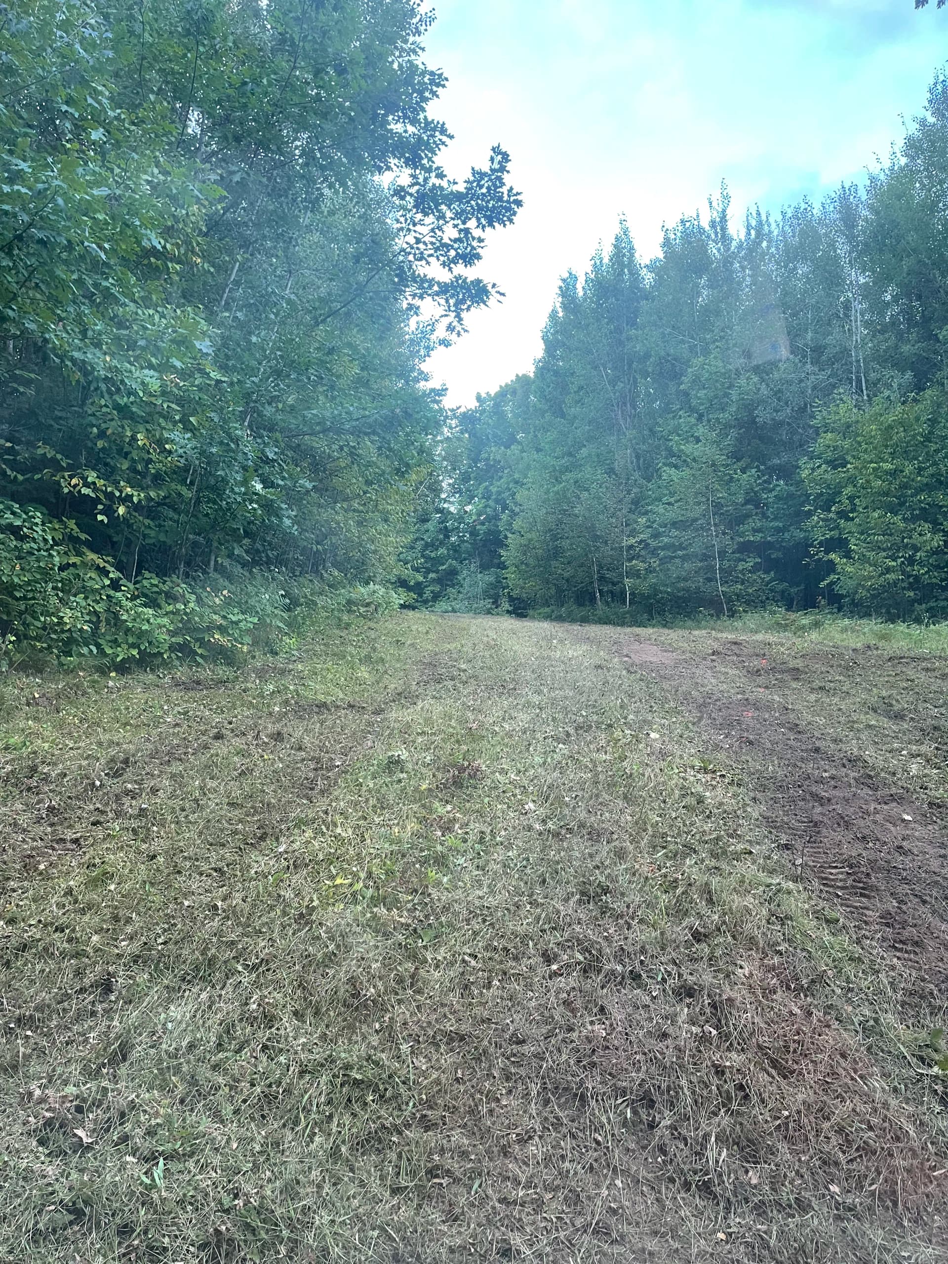 Gallery photos for Hunting Property Cleanup with Forestry Mulching in Bevent: Image #6