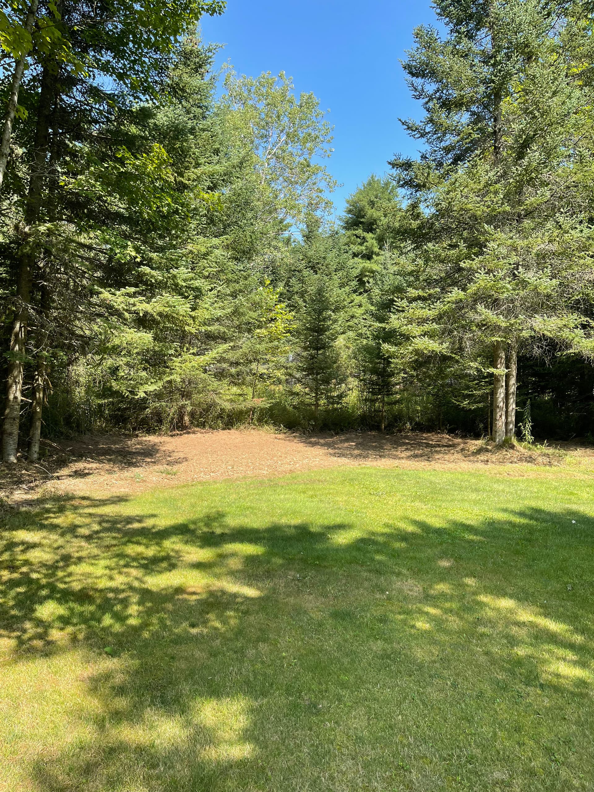 Gallery photos for Forestry Mulching Clears Overgrown Property in Wausau: Image #7