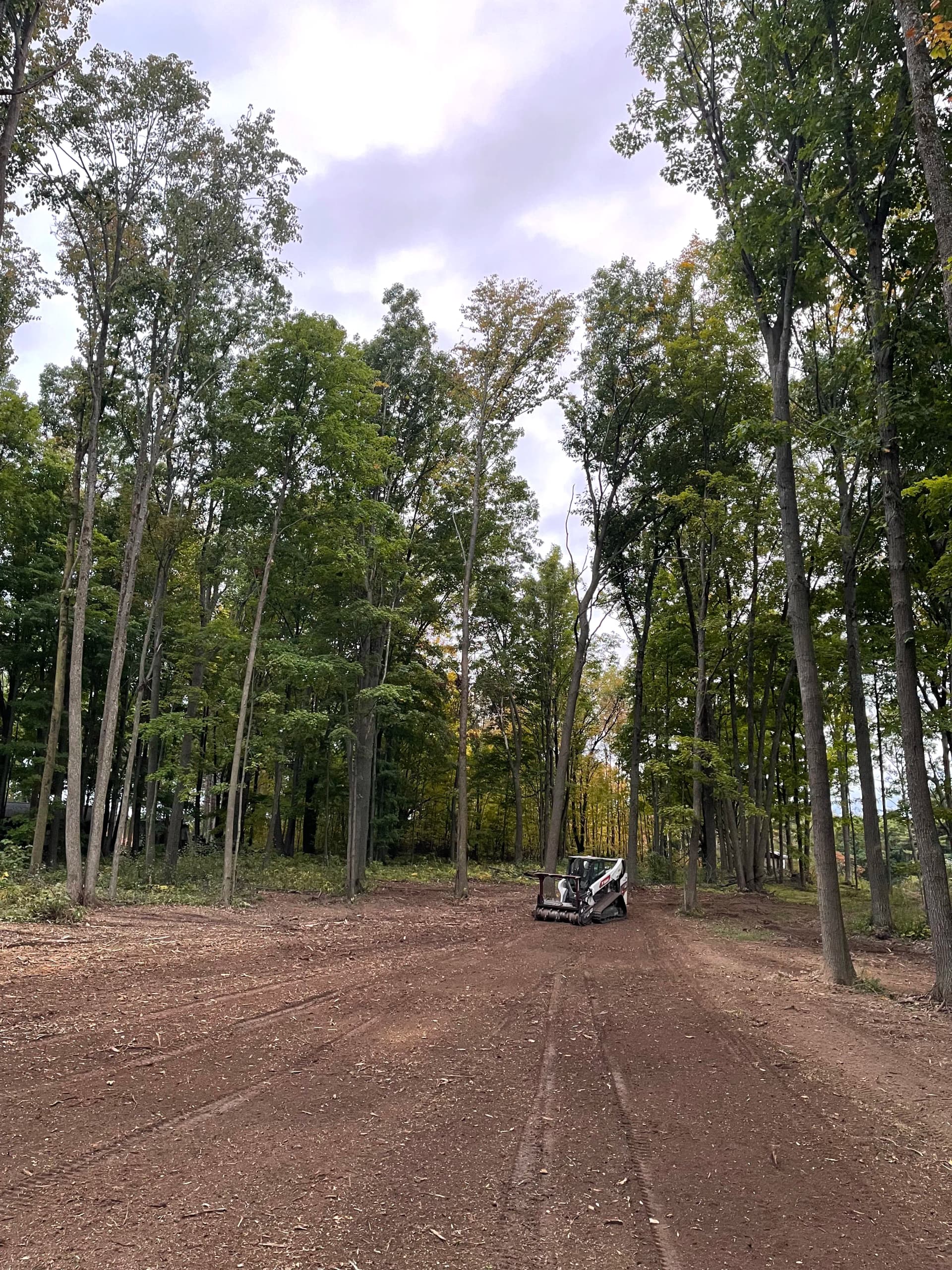Gallery photos for Forestry Mulching Clears Thick Brush at Wausau Skeet & Trap Club: Image #2