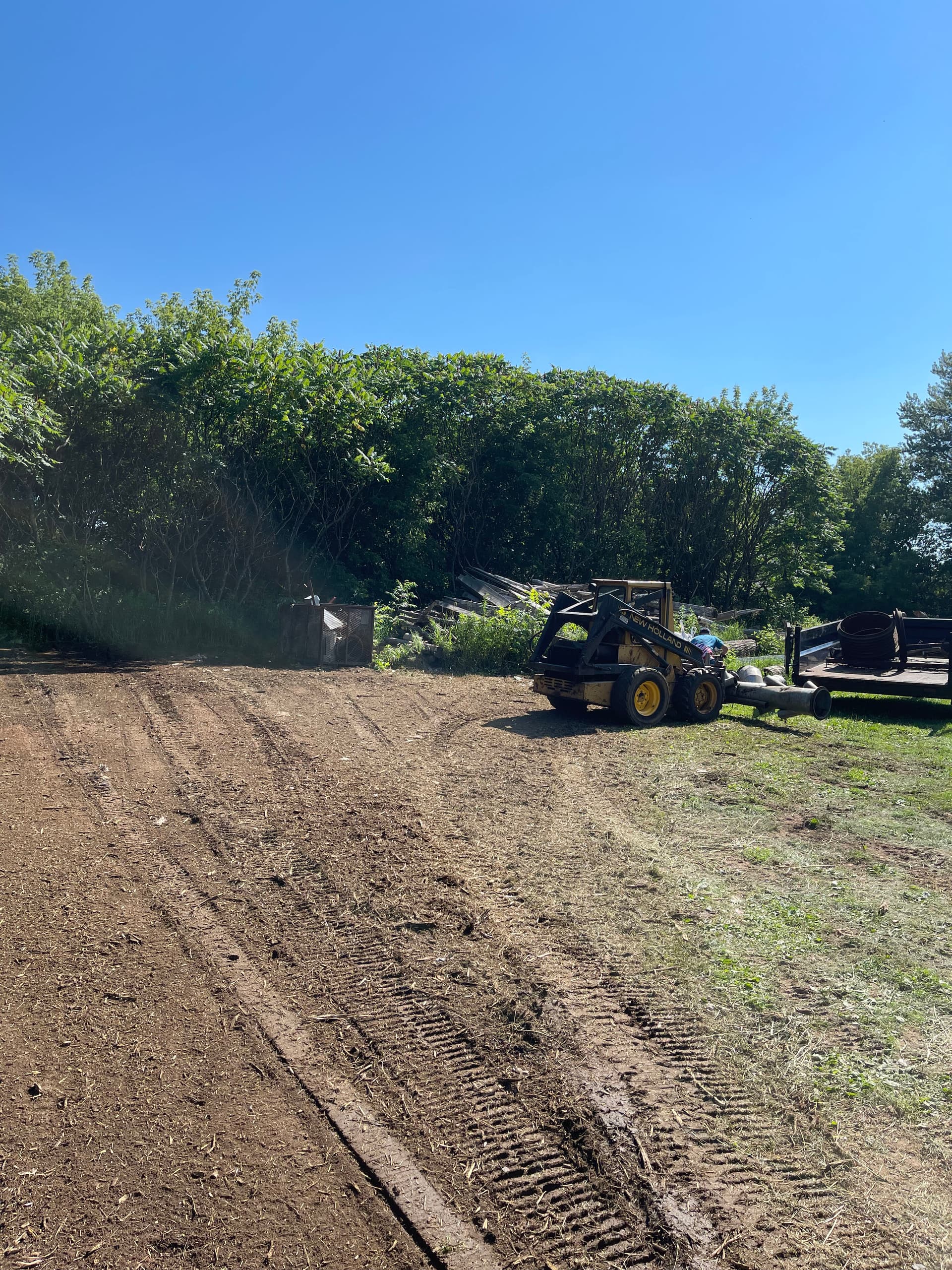 Gallery photos for Forestry Mulching Clears Overgrown Farm Property in Mosinee: Image #5