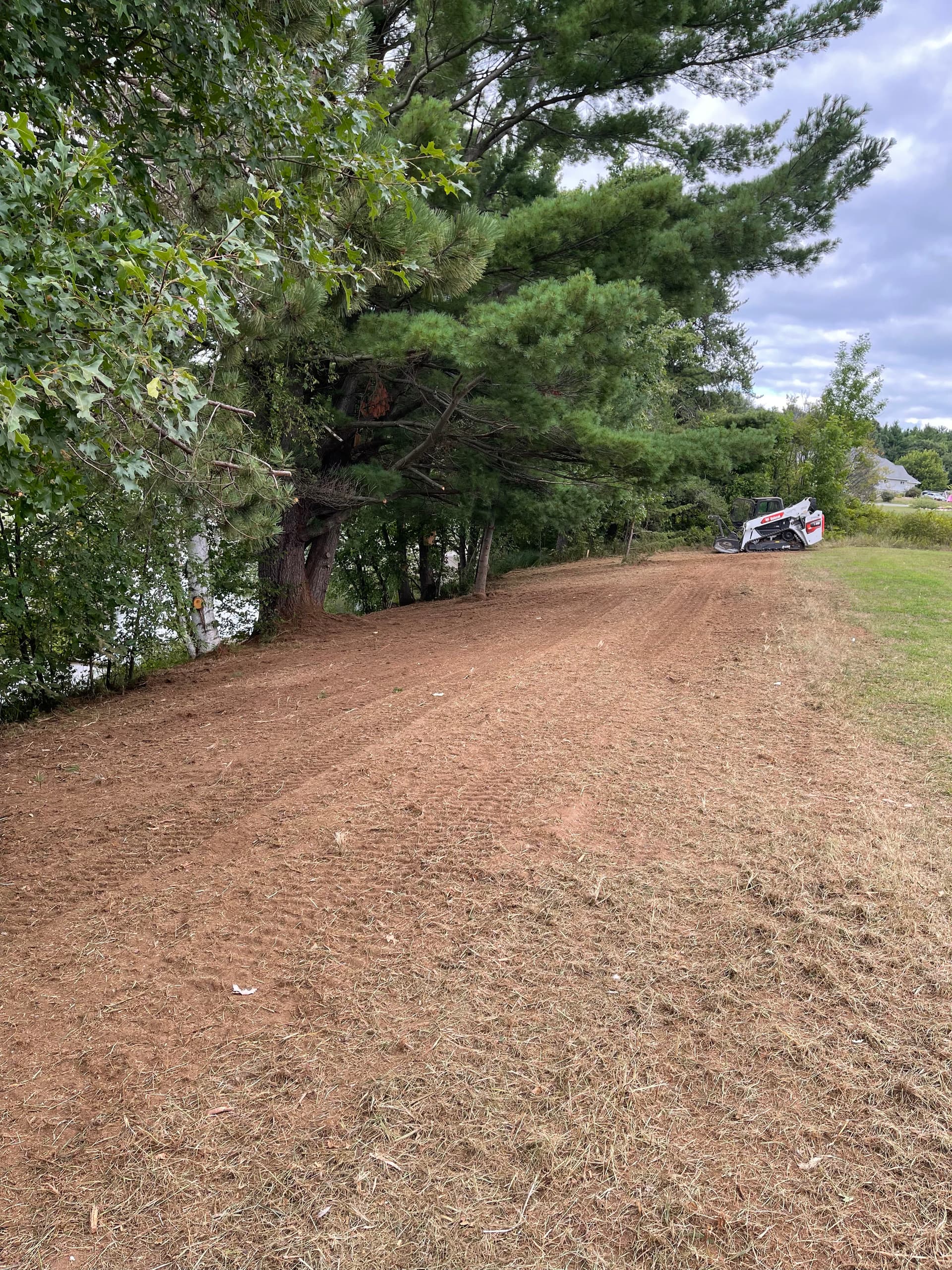 Gallery photos for Forestry Mulching Clears Overgrown Lakefront Property in Mosinee: Image #2