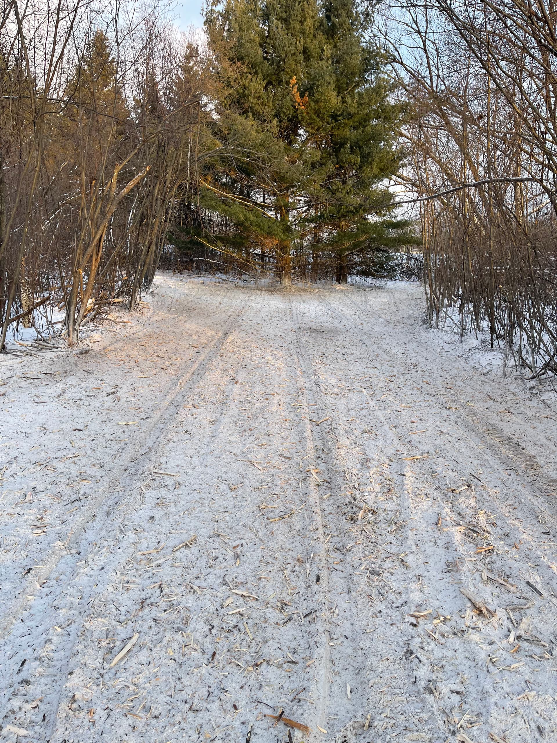 Gallery photos for Trail Clearing for Enjoyment: Image #2