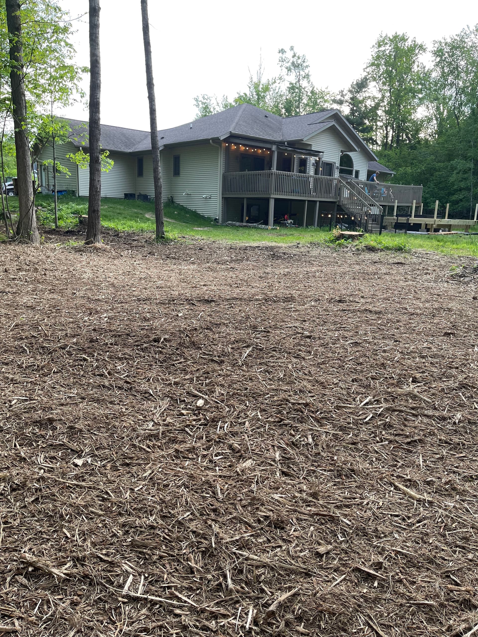 Gallery photos for Backyard Brush Cleared with Forestry Mulching in Stevens Point: Image #5