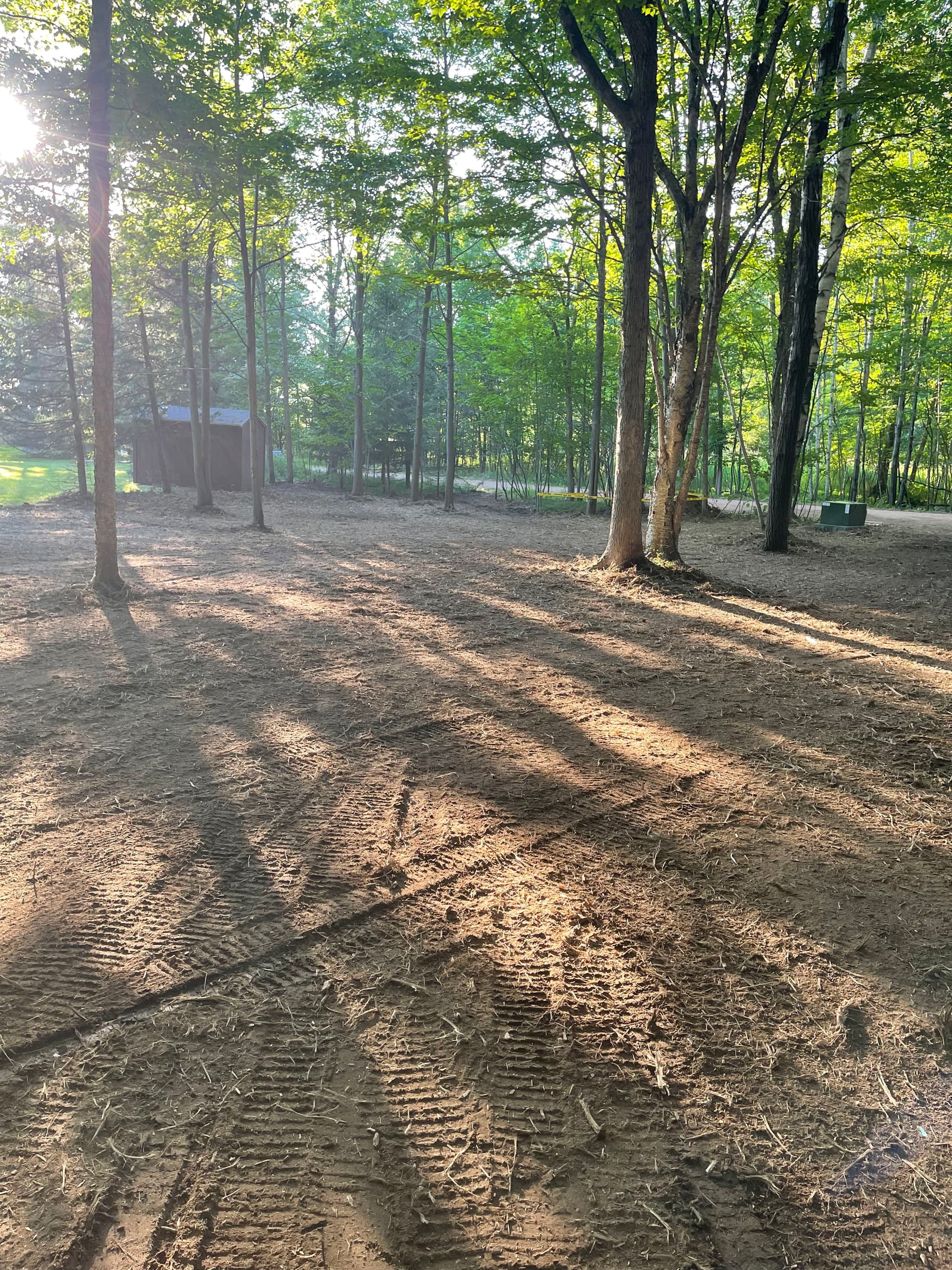 Gallery photos for Forestry Mulching Clears Overgrown Woodland Property in Mosinee: Image #1