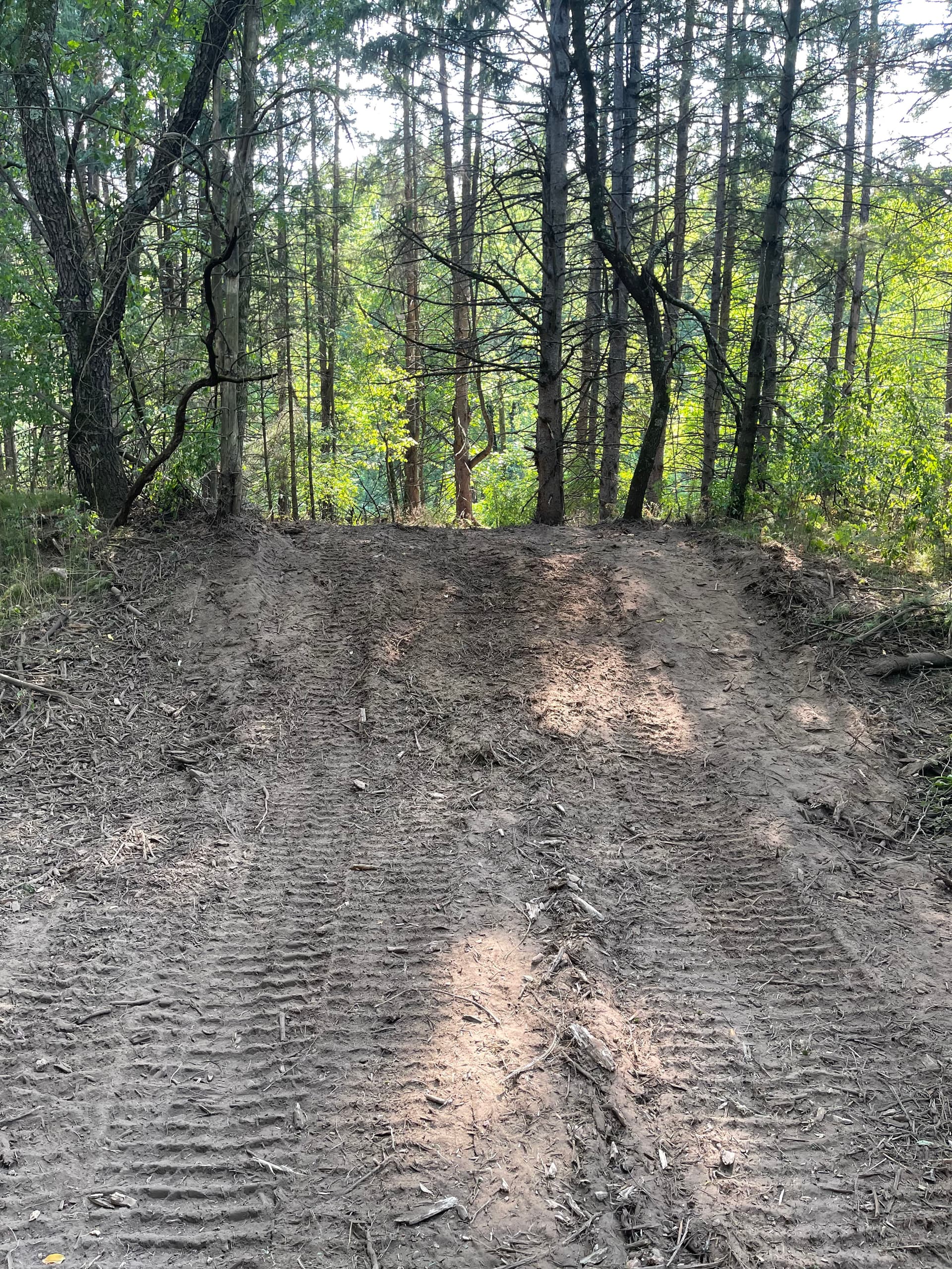 Gallery photos for Forestry Mulching Opens Up River Access in Weston WI: Image #5