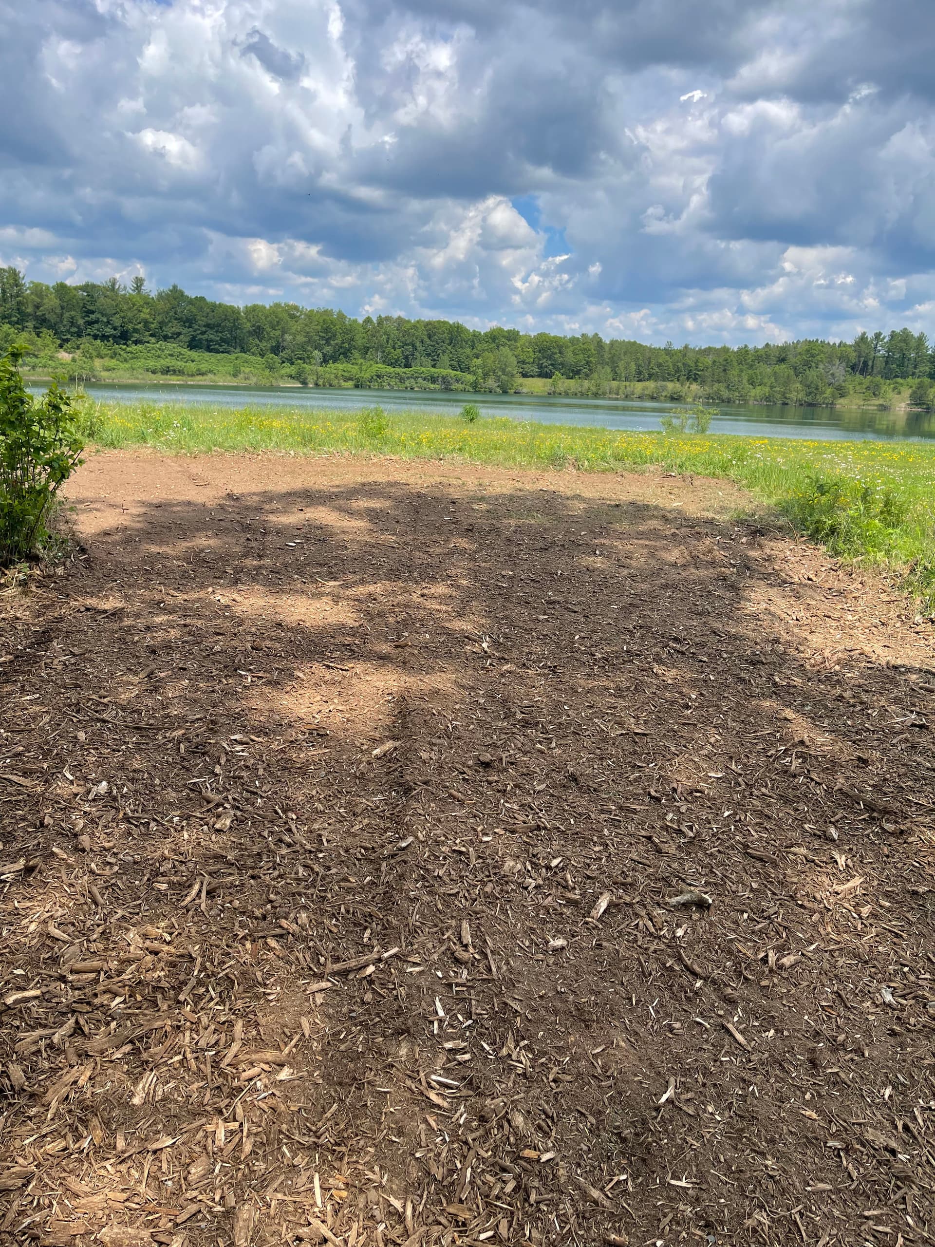 Gallery photos for Forestry Mulching Cleans Up Overgrown Property in Kronenwetter: Image #1