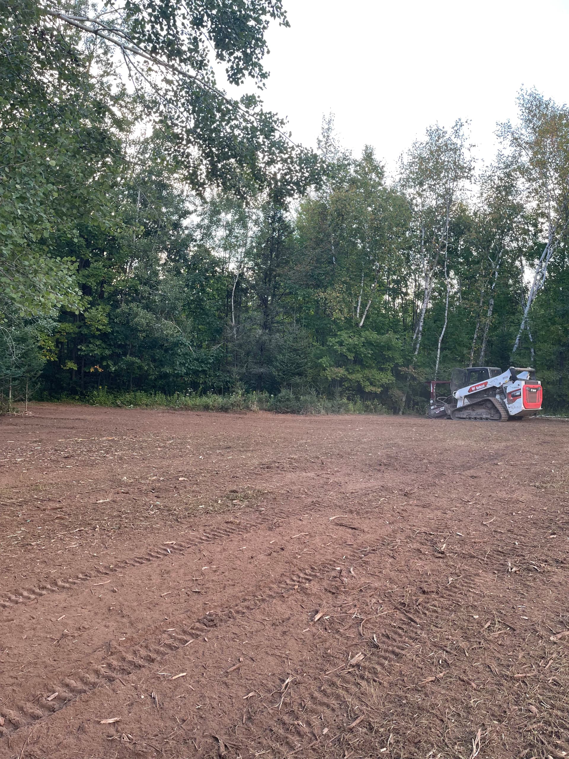 Gallery photos for Hunting Property Cleanup with Forestry Mulching in Bevent: Image #5