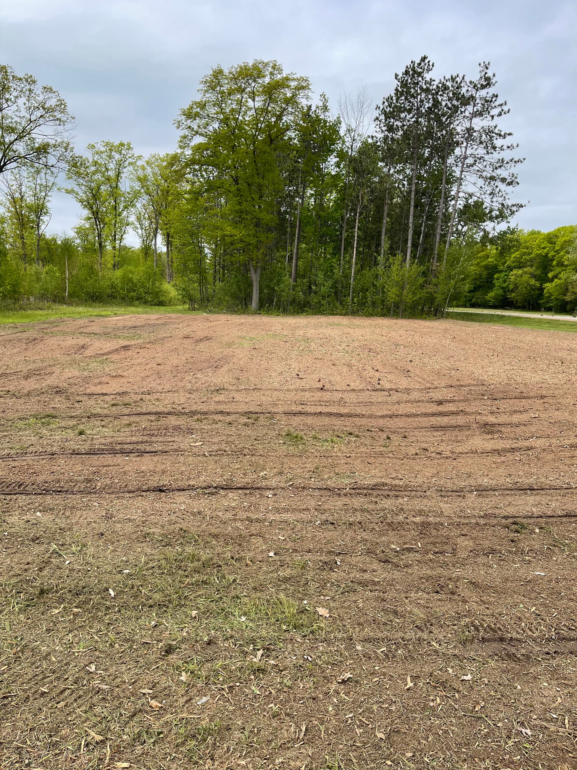 Gallery photos for Forestry Mulching Clears Overgrown Lot in Mosinee: Image #3