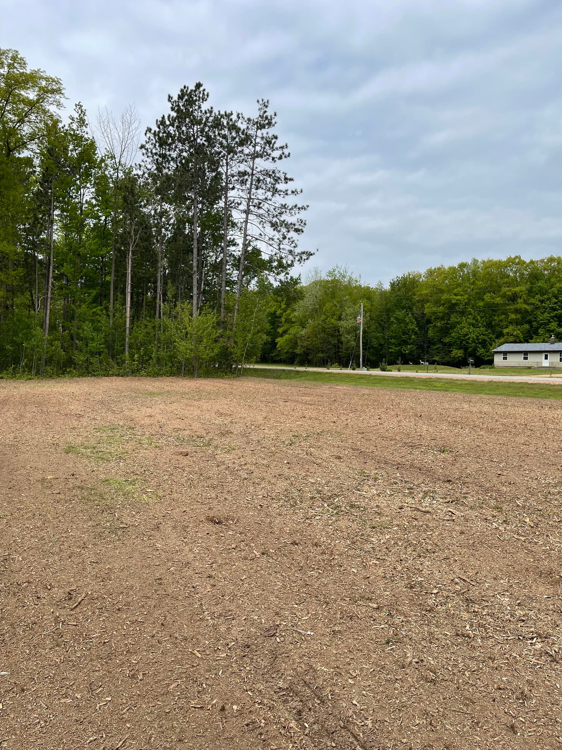 Gallery photos for Forestry Mulching Clears Overgrown Lot in Mosinee: Image #5