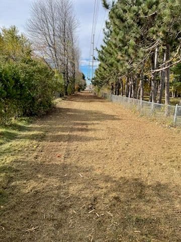 Gallery photos for Efficient Forestry Mulching for Utility Easement in Weston: Image #2