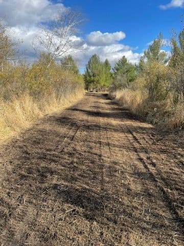Gallery photos for Forestry Mulching at Wolf River Game Farm in Shiocton: Image #1