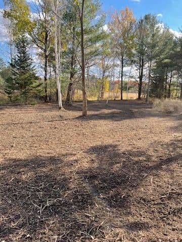 Gallery photos for Forestry Mulching at Wolf River Game Farm in Shiocton: Image #2