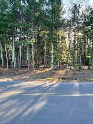 Gallery photos for Creating Open Spaces Near Lake DuBay: Image #1