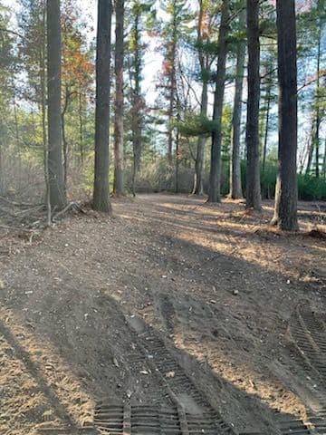 Gallery photos for Creating Open Spaces Near Lake DuBay: Image #2