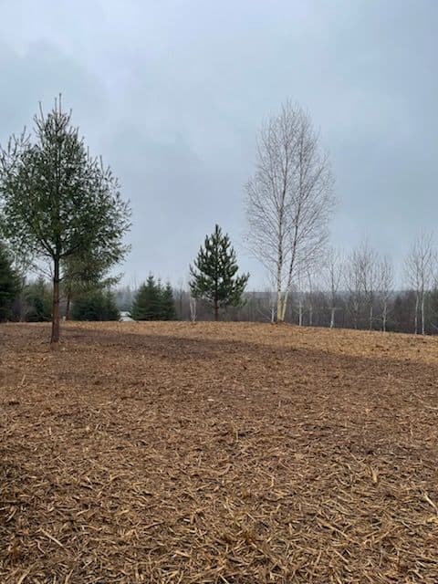 Gallery photos for Forestry Mulching Next to Merrill Airport: Image #1