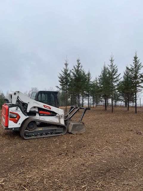 Gallery photos for Forestry Mulching Next to Merrill Airport: Image #2