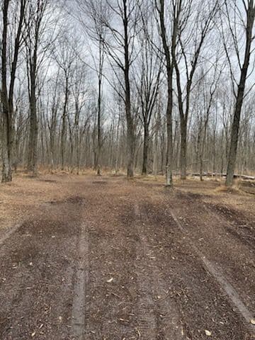 Gallery photos for Forestry Mulching in Oconto: Image #1