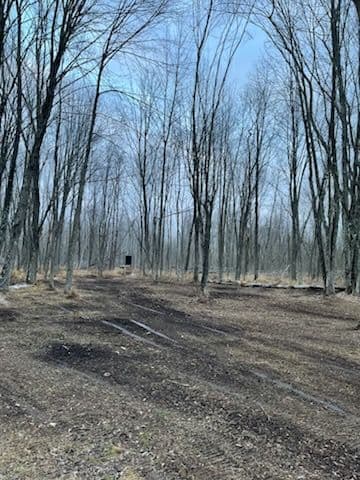Gallery photos for Forestry Mulching in Oconto: Image #2