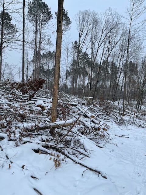 Gallery photos for Efficient Land Clearing in Reid Wisconsin: Image #1