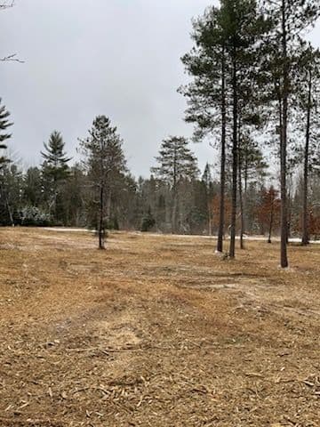 Gallery photos for Forestry Mulching in Winter Wonderland: Image #1